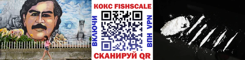 где купить наркоту  Сланцы  KRAKEN зеркало  Cocaine 97% 