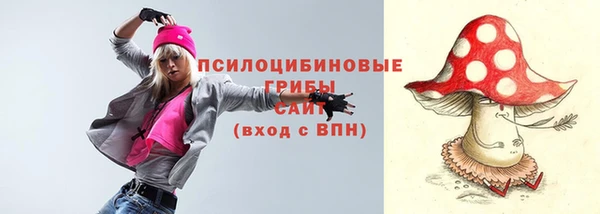 mix Белокуриха