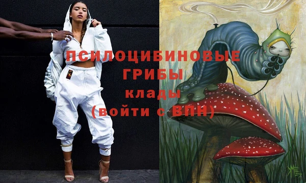 mix Белокуриха