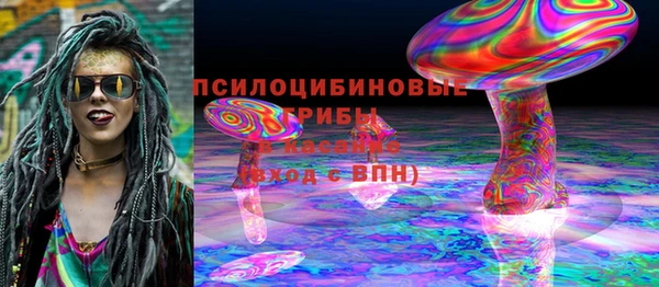 mix Белокуриха