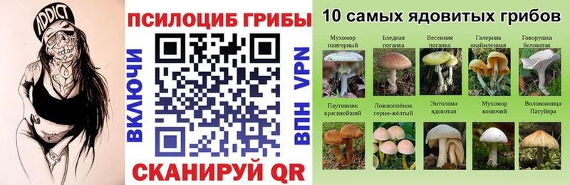 Псилоцибиновые грибы ЛСД Сланцы